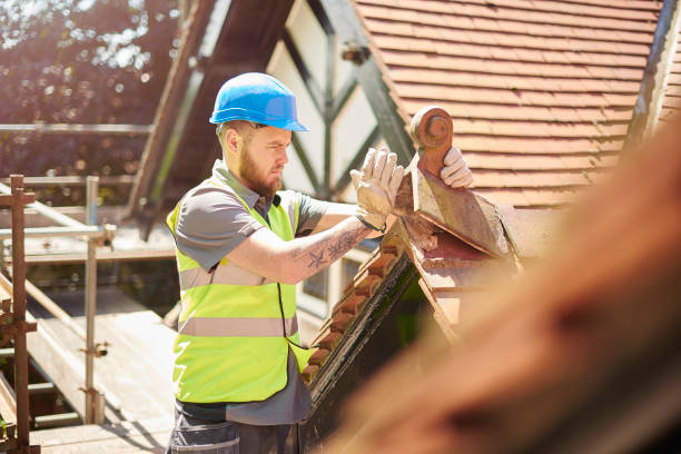 Roof Gutter Cleaning in Tuscaloosa, AL